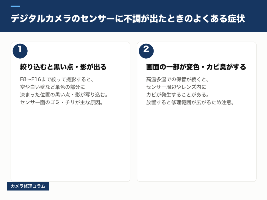 デジタルかめらのセンサーに不調が出た時のよくある症状